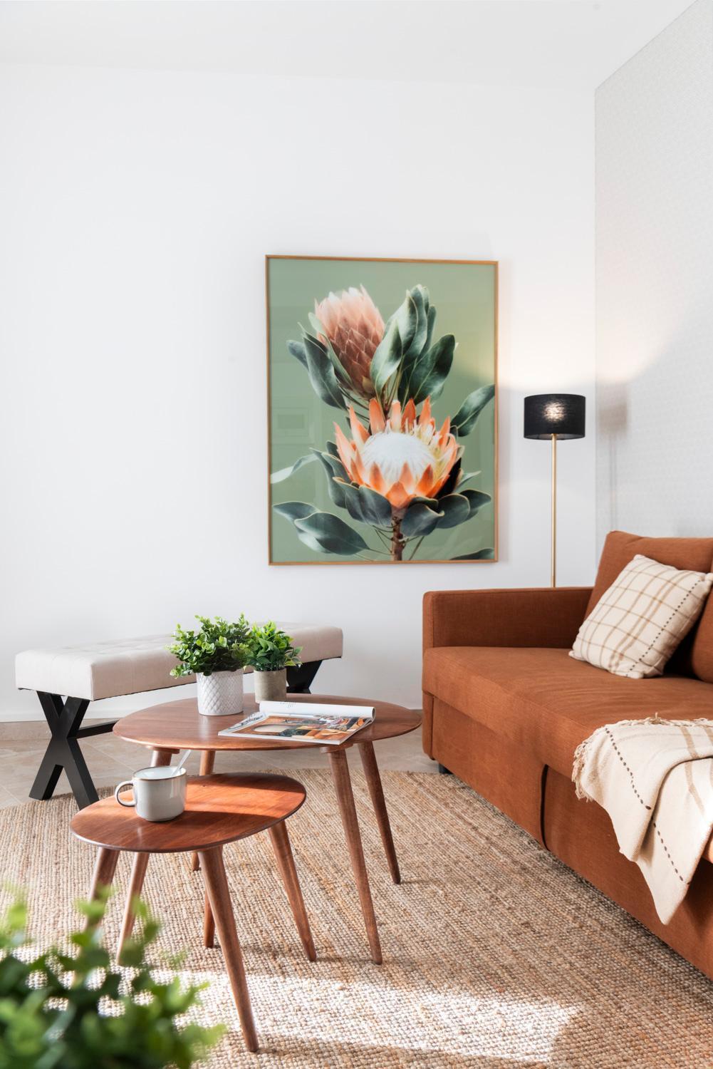 Appartement Murillo Boutique X Alohamundi
